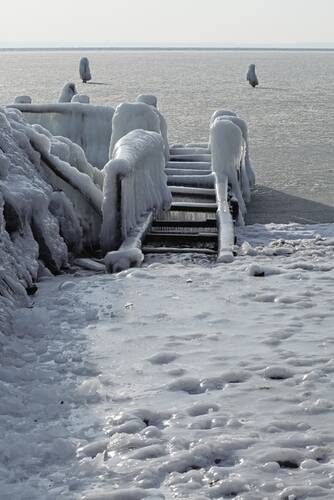 20110223_083002-700.jpg
