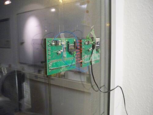 kraut_2013-02_22.jpg